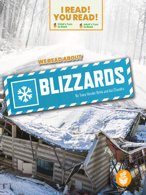 cover image of We Read About Blizzards